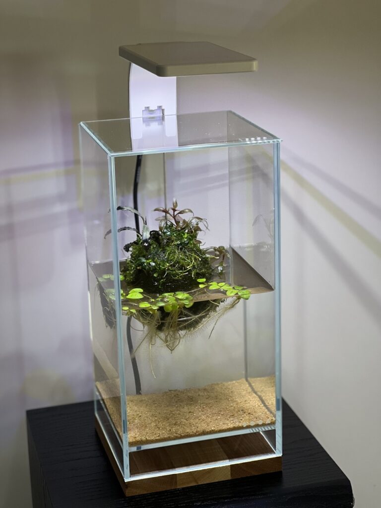 DOOA Neo Glas Air Wabikusa